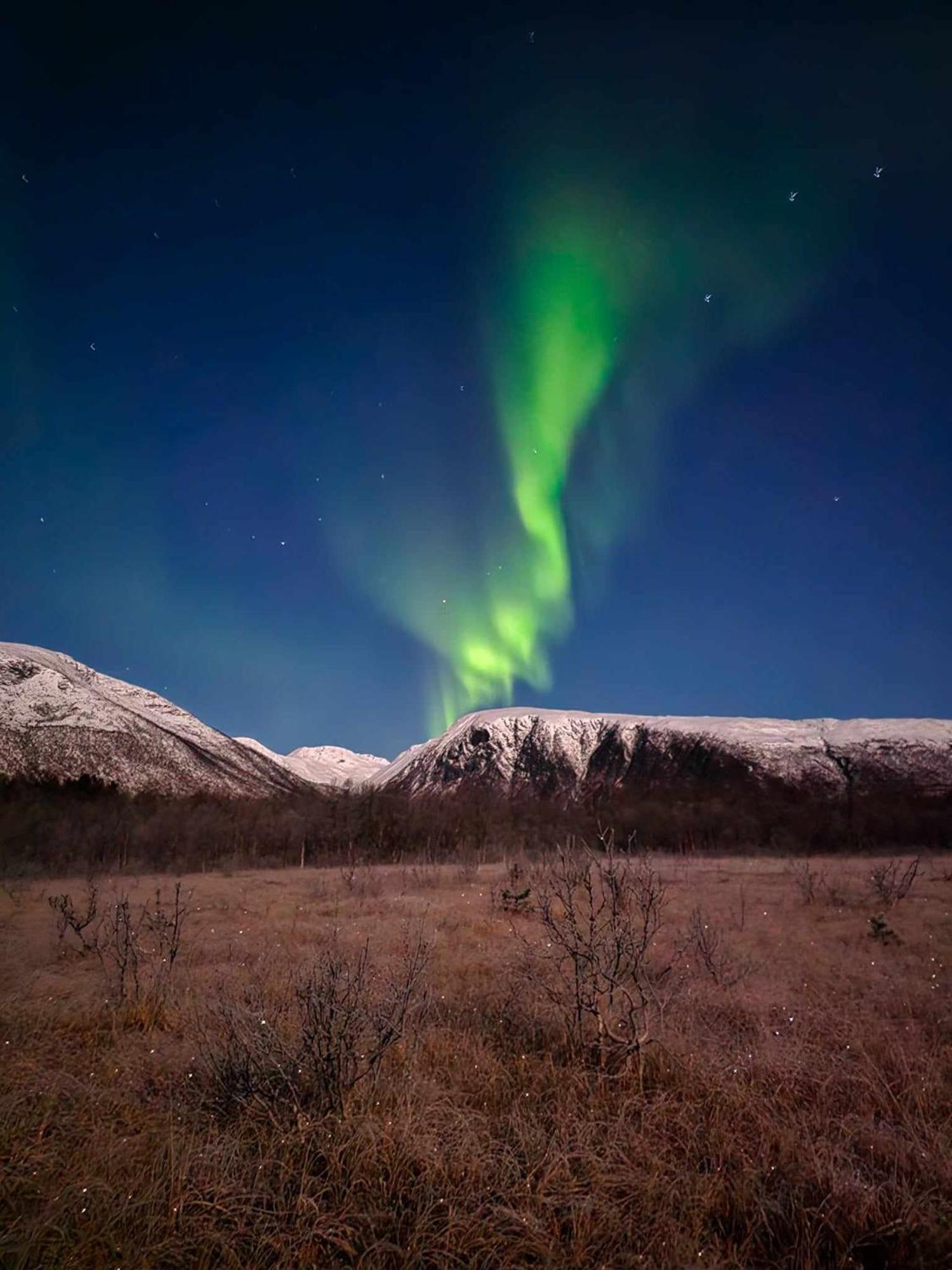 Annebo Tromso